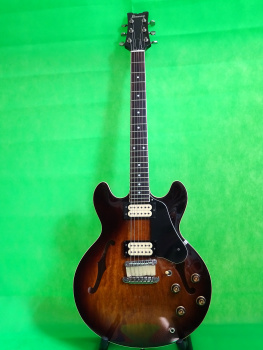 Ibanez AS 50