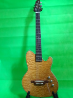 Ibanez_Talman