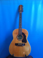 hoyer_12string